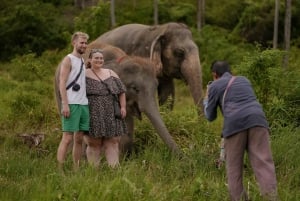 Samui: Kokoskultur og elefanter: en bærekraftig reise