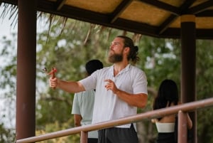 Samui: Kokoskultur og elefanter: en bærekraftig reise