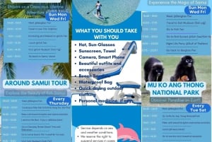 Samui Dolphins Tour med katamaran og yacht