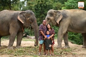 Koh Samui: Elephant Sanctuary Entry and Feeding Experience