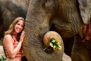 Koh Samui: Elephant Jungle Sanctuary Half-Day Tour