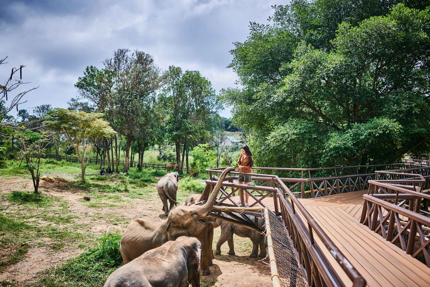 Samui Elephant Kingdom Sanctuary Half-Day Program