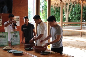 Samui: Feeding Program at the Elephant Home Nursery