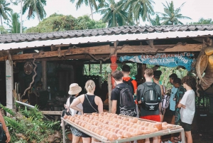 Samui: Full day Iocal Tour with Elephant Home Sanctuary