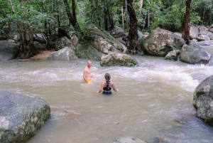 Samui: Natural Wellness & Herbal Education Tour