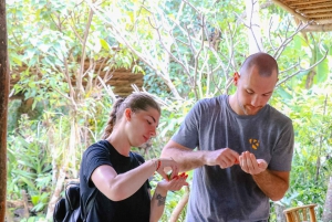 Samui: Natural Wellness & Herbal Education Tour