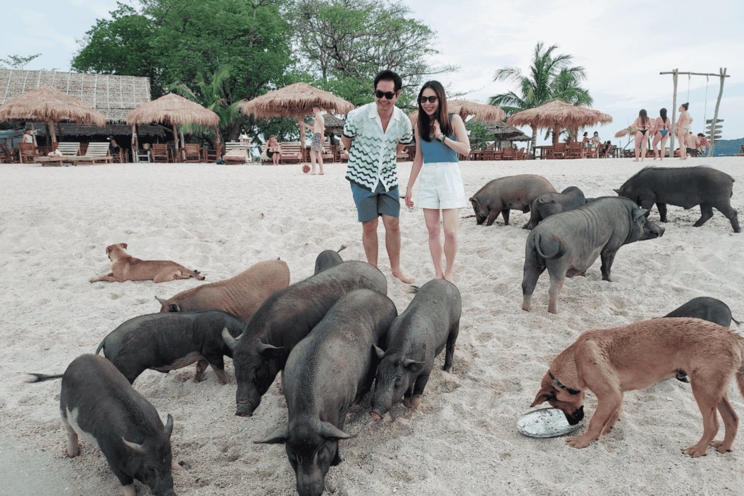 Samui: Samu: Pig Island Private Luxury Longtail Boat Tour