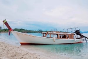 Samui : Excursion privée en bateau à longue queue de luxe sur l'île aux cochons