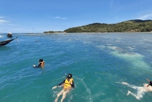 Samui : Excursion privée en bateau à longue queue de luxe sur l'île aux cochons