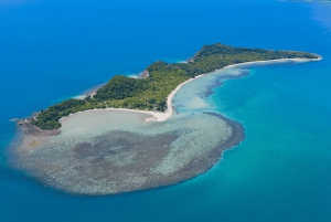 Samui: Privat luksustur med longtailbåt til Pig Island