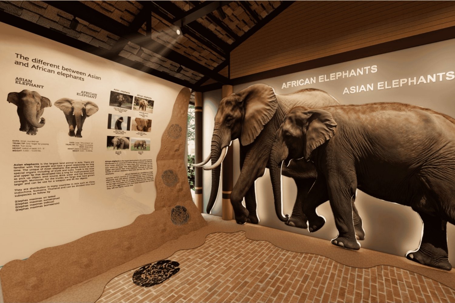 Samui: The first Elephant Museum & Jungle Walk with Elephant