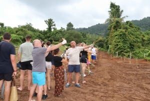 Samui: Det første elefantmuseet og jungelvandring med elefant