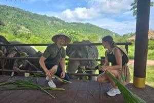 Samui: Det første elefantmuseet og jungelvandring med elefant