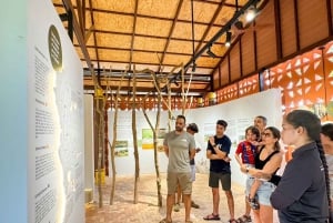 Samui: Elephant Home Sanctuary and the first elephant museum