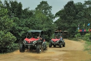 Samui X Quad 4WD Buggy-tur med lunch