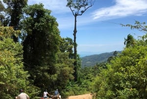 サムイ島 X クアッド ATV ツアー (運転手 + 同乗者) ランチ付き
