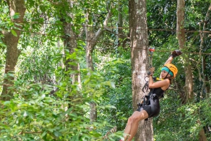Samui Zipline FLY & Fun Tree Bridge Jungle Cafe & Waterfall