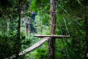 Samui Zipline FLY & Fun Tree Bridge Jungle Cafe & Waterfall