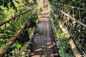 Samui Zipline FLY & Fun Tree Bridge Jungle Cafe & Waterfall