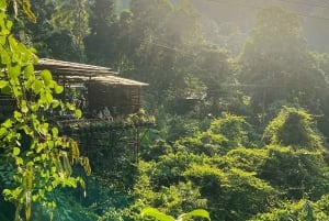 Samui Zipline FLY & Fun Tree Bridge Jungle Cafe & Waterfall