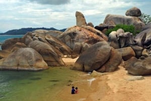 Udflugt til land – tur i lille gruppe til Ko Samuis højdepunkter