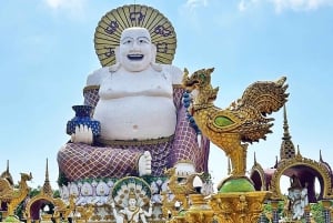 Visite d'une jounée autour de Koh Samui (Temple Tour Around Koh Samui Full Day Excursion)