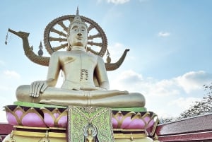 Excursie dagvullende tour rond tempels in Koh Samui