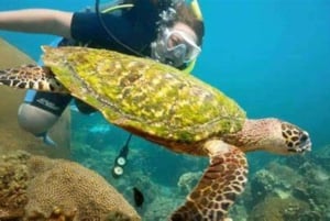 Wonder at Ang Thong Marine Park from Samui