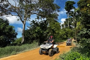 Xクワッド初心者向け滝ATVツアー（ドライバー1名＋乗客1名）