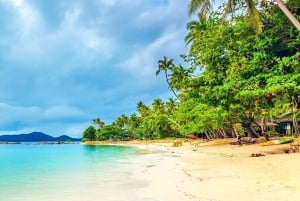 Zipline op Koh Samui Avontuurlijke activiteit