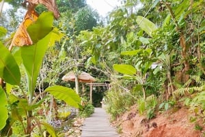 Zipline op Koh Samui Avontuurlijke activiteit