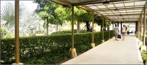 Samui International Airport