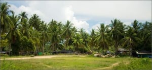 Taling Ngam