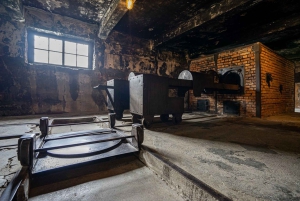 From Krakow: Auschwitz-Birkenau Full-Day Guided Tour