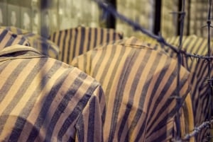 From Krakow: Auschwitz-Birkenau Full-Day Guided Tour