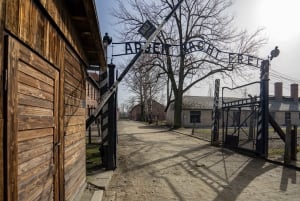Från Krakow: Guidad heldagstur till Auschwitz-Birkenau