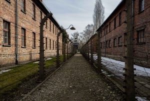From Krakow: Auschwitz-Birkenau Full-Day Guided Tour