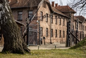 Auschwitz and Birkenau Tour with Licensed Guide