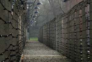 Auschwitz-Birkenau and Krakow Old Town Guided Tour