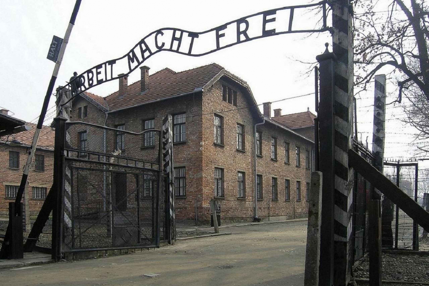 Auschwitz-Birkenau e Cracovia Viaggio in auto privato da Katowice