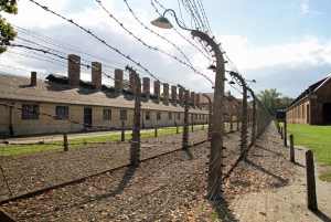 Auschwitz-Birkenau and Krakow Private Tour from Warsaw