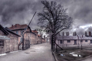 Auschwitz-Birkenau and Schindler's Factory Tour from Krakow