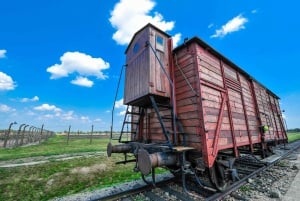 Auschwitz-Birkenau and Wieliczka Salt Mine Tour from Krakow