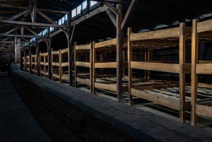 Auschwitz-Birkenau: Fast-Track Ticket and Tour No Transport