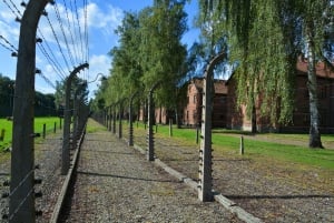 Auschwitz-Birkenau: Guided Tour and Transfer