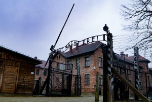 Krakow: Auschwitz-Birkenau Guided Tour & Krakow Walking Tour
