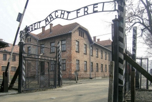 Krakow: Auschwitz-Birkenau Tour with Pickup & Optional Lunch