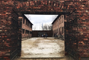 Krakow: Auschwitz-Birkenau Tour with Pickup & Optional Lunch