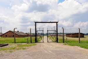 Auschwitz-Birkenau: Guided Tour & Optional Bus from Krakow