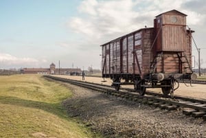 Auschwitz-Birkenau Opastettu kierros ja kuljetus Krakovasta